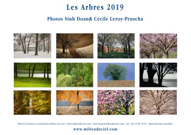 calendrier milieuduciel arbres 2019