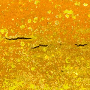 La symphonie des écorces détail 1