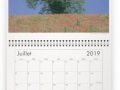 Calendrier milieuduciel arbres juillet 2019