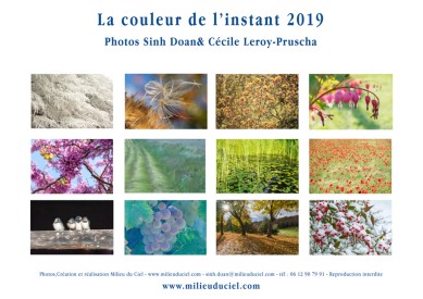 Calendrier milieuduciel fleurs 2019