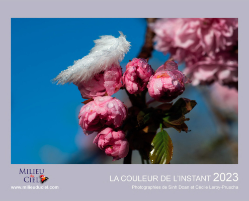 Calendrier Nature 2023 - Milieuduciel.com