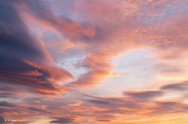 Photo Sinh Doan voeux 2026